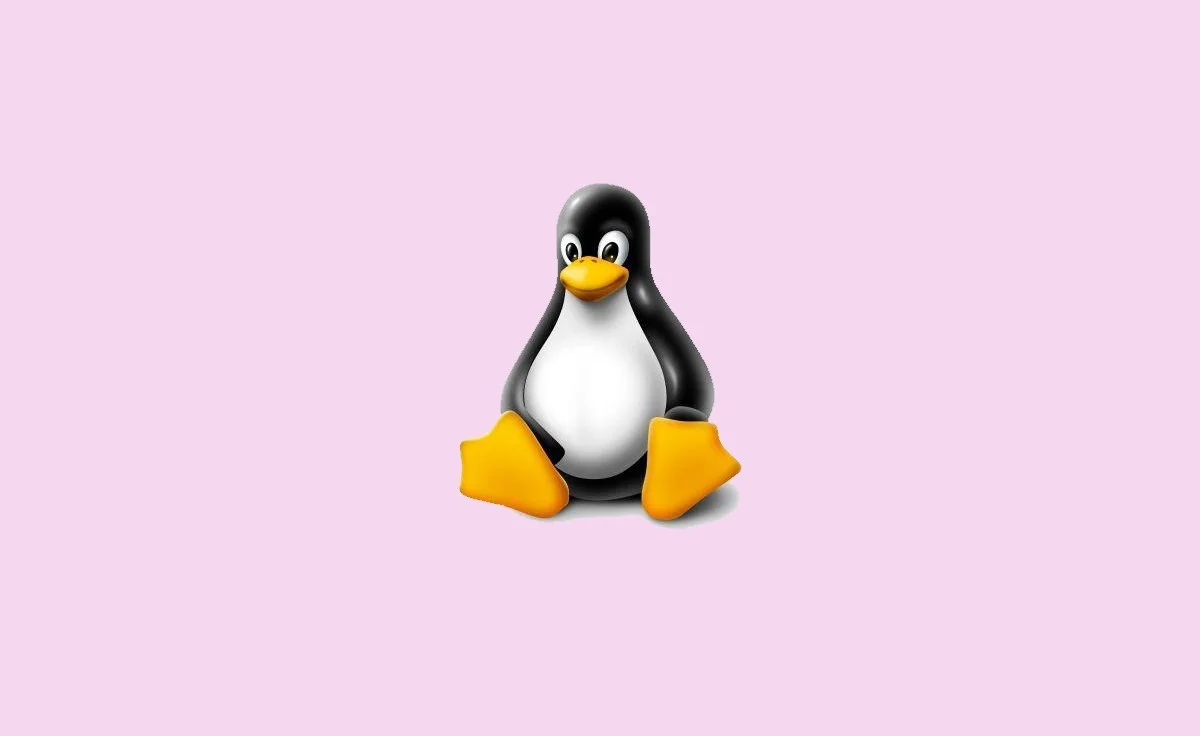 Delete a Directory in Linux